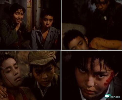 电影枫在线观看,穿越时空的浪漫邂逅  第1张